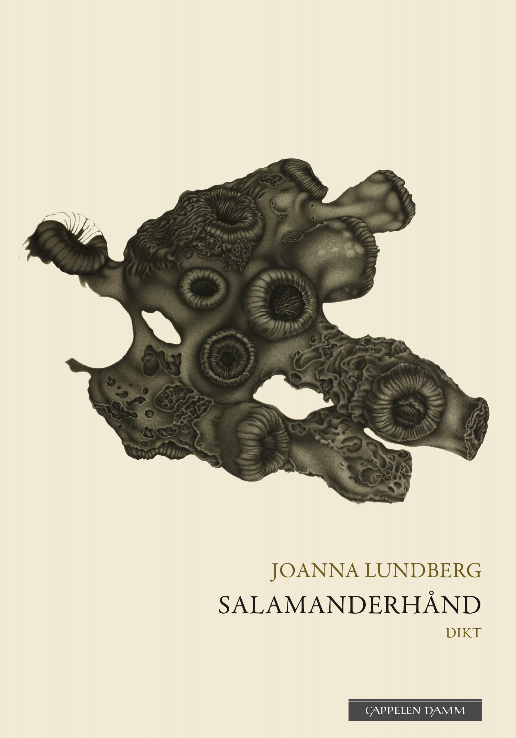 Omslag Salamanderhånd av Joanna Lundberg (Ebok)