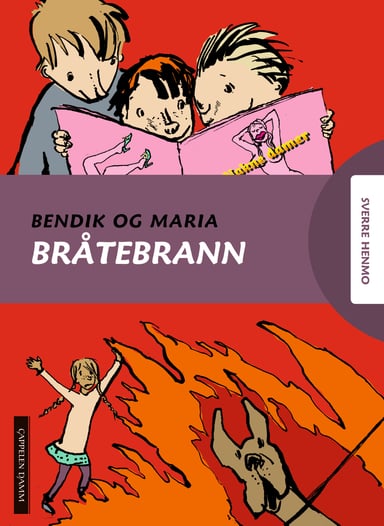 Omslag av "Bråtebrann"