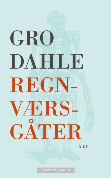 Omslag av "Regnværsgåter"