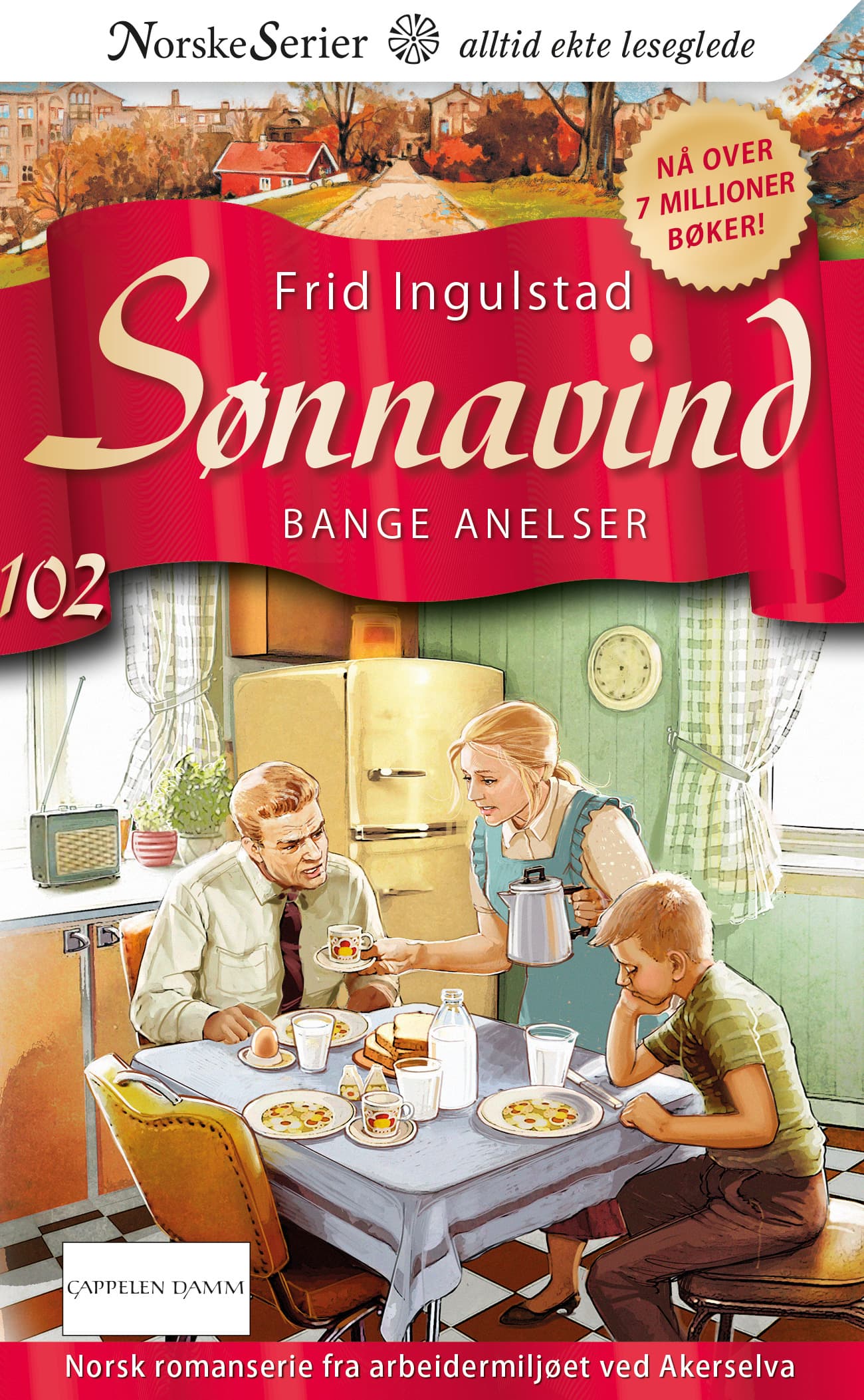 Omslag Bange anelser av Frid Ingulstad (Heftet)