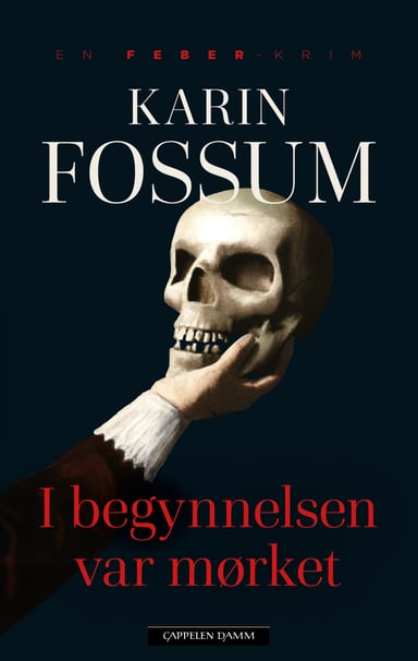 Omslag av "I begynnelsen var mørket"