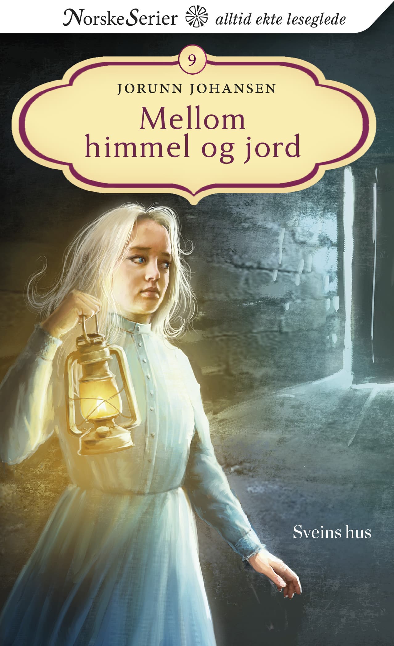 Omslag Sveins hus av Jorunn Johansen (Ebok)