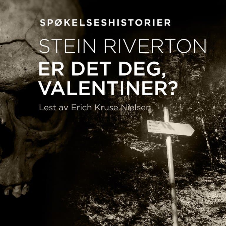 Omslag Er det deg, Valentiner? av Stein Riverton (Lydbok)