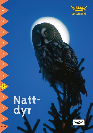 Omslag av "Damms leseunivers 1: Nattdyr"