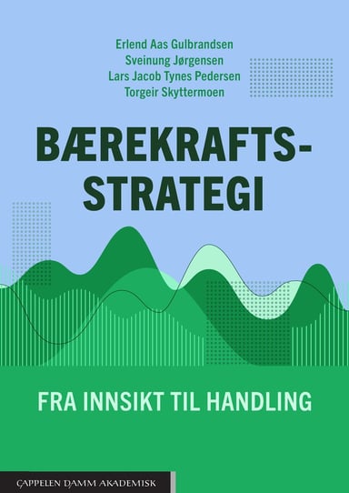 Omslag av "Bærekraftsstrategi"