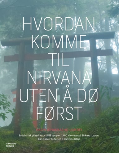 Omslag av "Hvordan komme til Nirvana uten å dø først"
