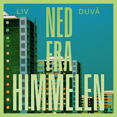 Omslag av "Ned fra himmelen"