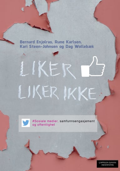 Omslag av "Liker - liker ikke"