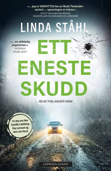 Ett eneste skudd