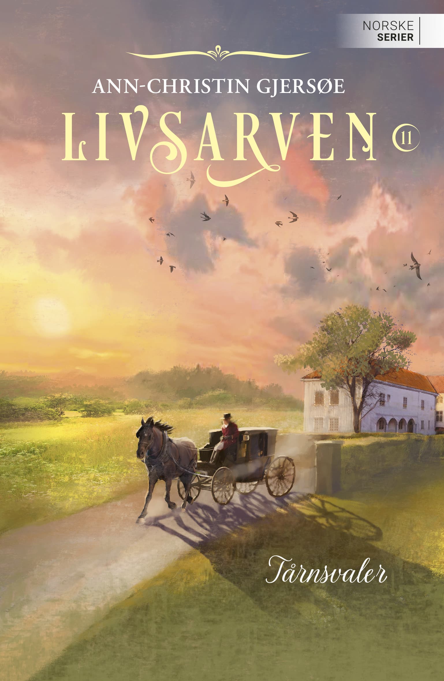 Omslag Tårnsvaler av Ann-Christin Gjersøe (Ebok)