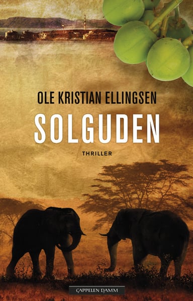 Omslag av "Solguden"
