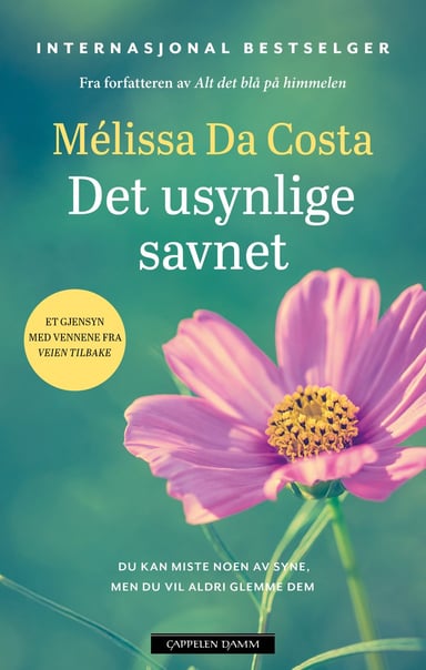 Omslag av "Det usynlige savnet"