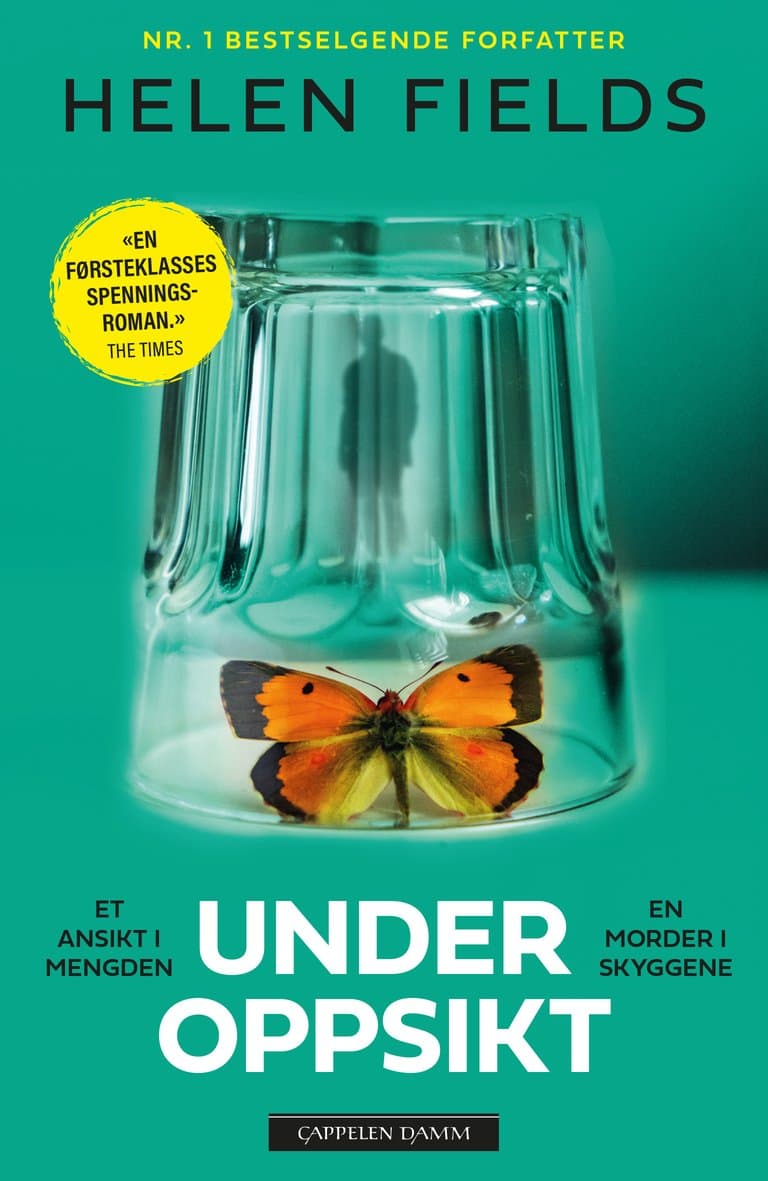 Omslag Under oppsikt av Helen Fields (Ebok)
