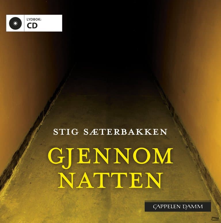 Omslag Gjennom natten av Stig Sæterbakken (CD)